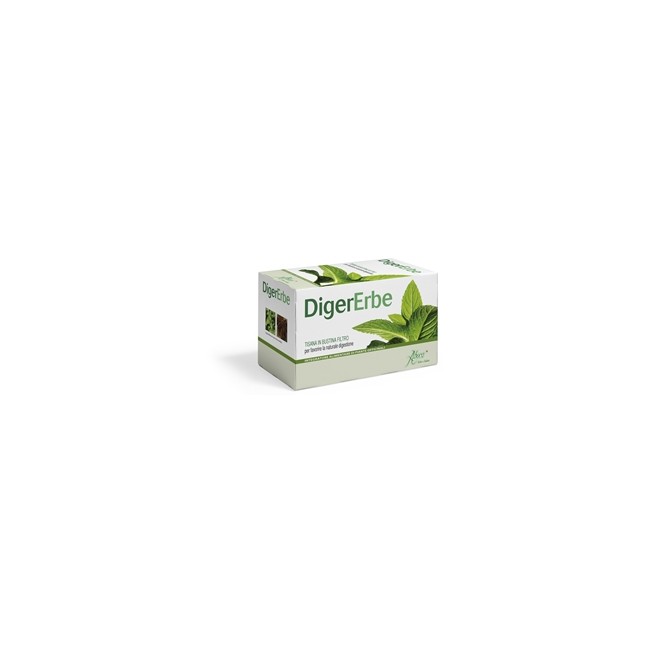 DIGERERBE 20 FILTRI TISANA 40 G