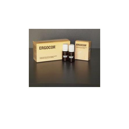 ERGOCOR 10 FLACONCINI 121 G