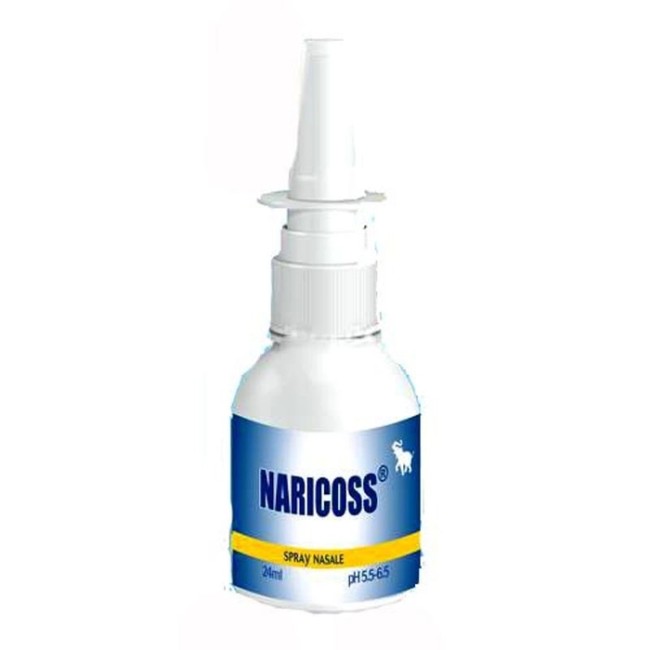 NARICOSS SPRAY NASALE 24 ML