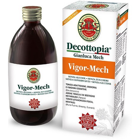 VIGOR MECH 500 ML