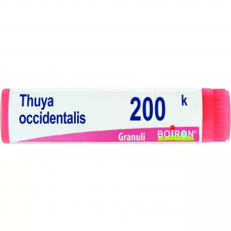 THUYA OCCIDENT 200K GLOBULI