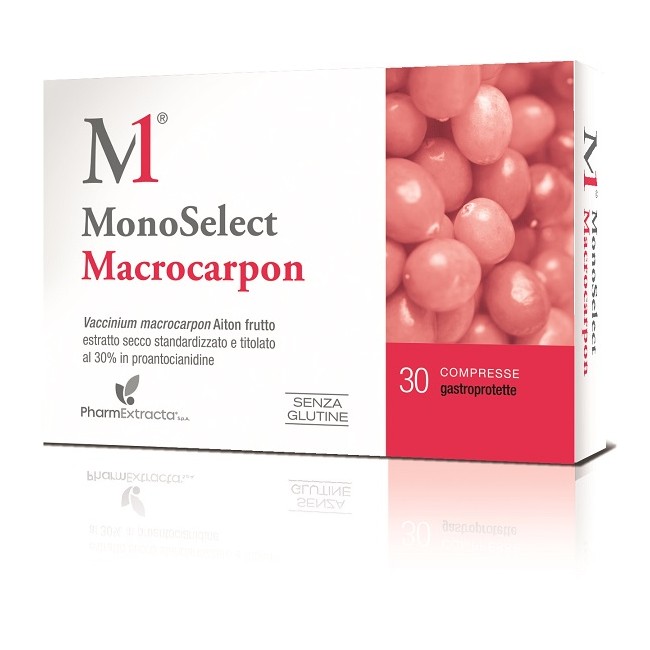 MONOSELECT MACROCARPON 30 COMPRESSE GASTROPROTETTE