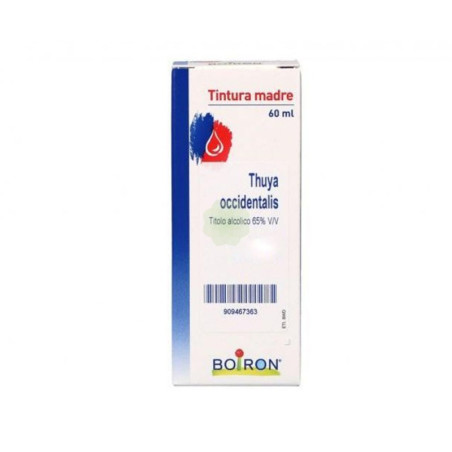 THUYA OCCIDENTALIS TINTURA MADRE 60 ML