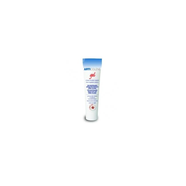 ARTICOLENE GEL 100 ML