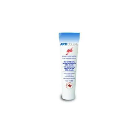 ARTICOLENE GEL 100 ML