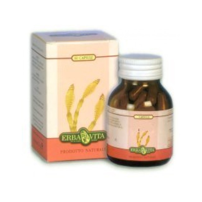 FUCUS 60 CPS 500 MG