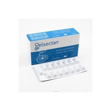 GELSECTAN 60 CAPSULE