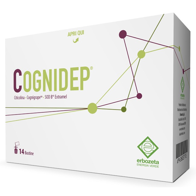 COGNIDEP 14 BUSTINE