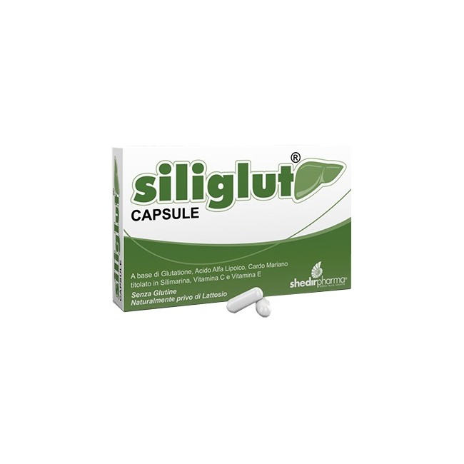 SILIGLUT 20 CAPSULE