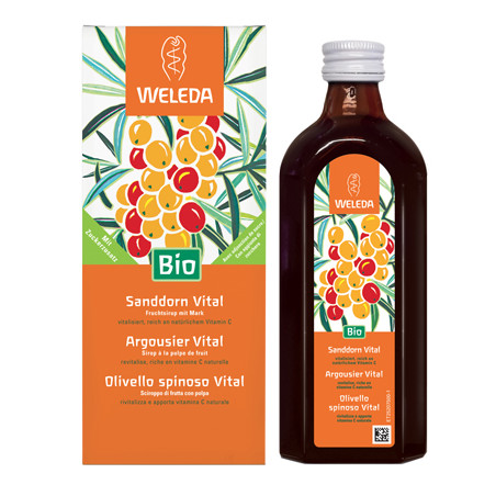 OLIVELLO SPINOSO VITAL SCIROPPO 250 ML