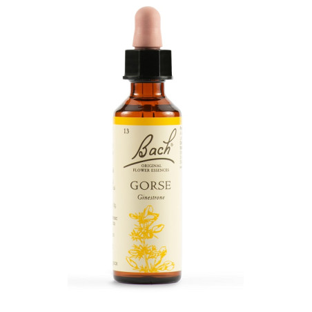 GORSE BACH ORIG 20 ML