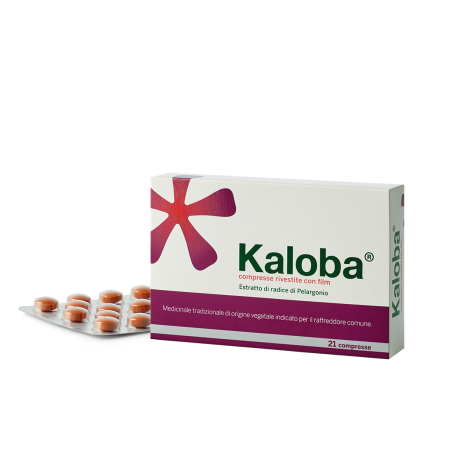 Kaloba 21 Compresse Rivestite 20mg