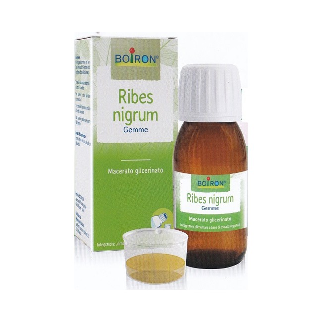 RIBES NIGRUM GEMME MACERATO GLICERICO 60 ML