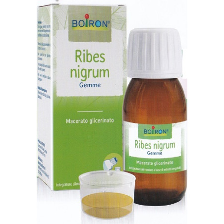 RIBES NIGRUM GEMME MACERATO GLICERICO 60 ML