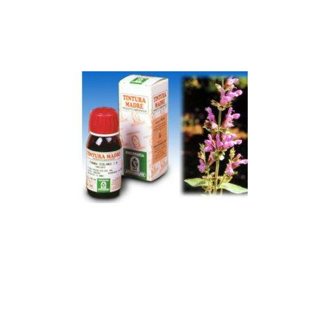 SALVIA 25 50ML TM