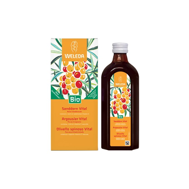 OLIVELLO SPINOSO VITAL SUCCO DI FRUTTA 250 ML