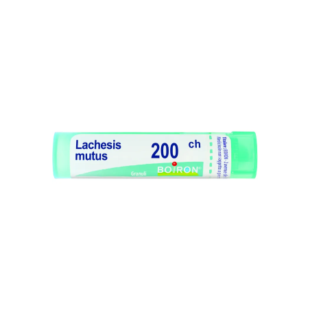 LACHESIS MUTUS 200CH GRANULI