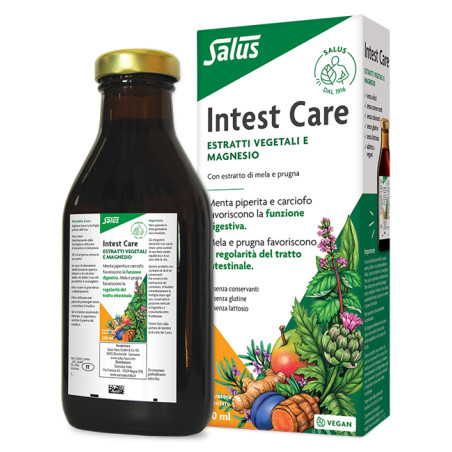 INTEST CARE 250 ML