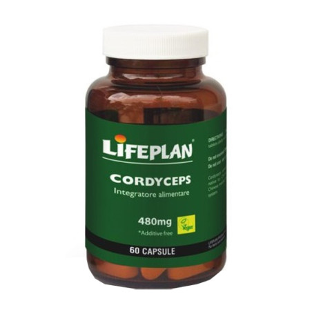 CORDYCEPS 60 CAPSULE