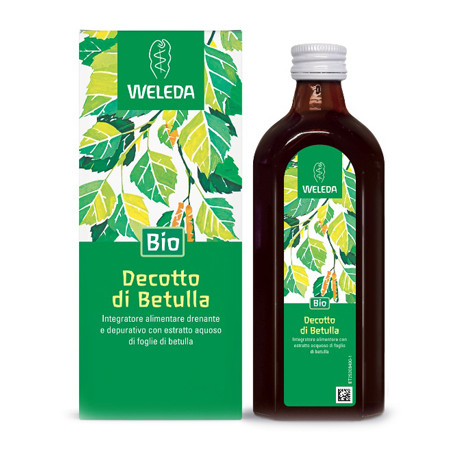 DECOTTO DI BETULLA 250 ML