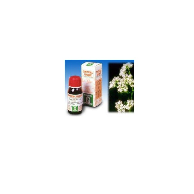 VALERIANA 36 TINTURA MADRE 50 ML