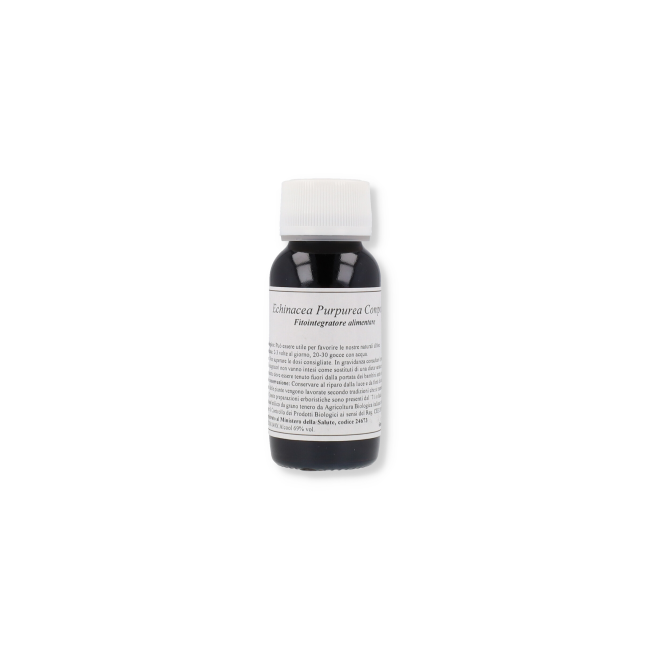 Lvs 67s Echinacea Purpurea Com