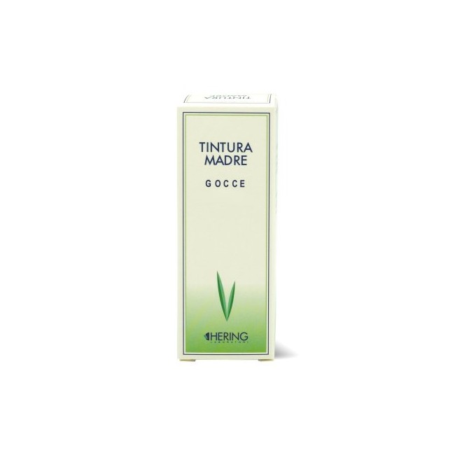 PLANTAGO MAJOR 125ML TM