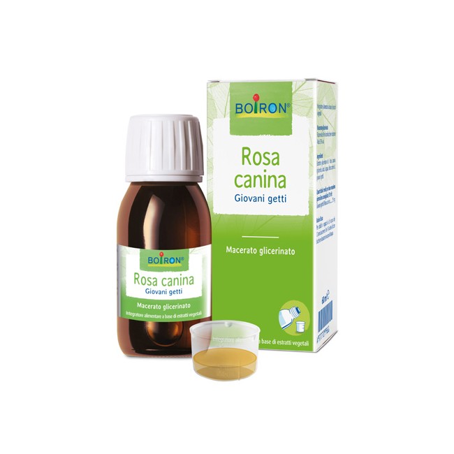 ROSA CANINA MACERATO GLICERICO 60 ML INT