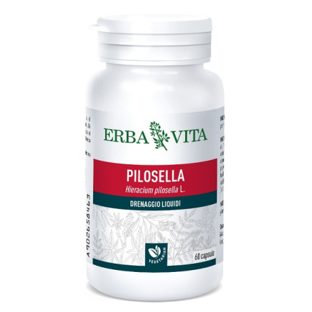 PILOSELLA 60 CAPSULE 400 MG