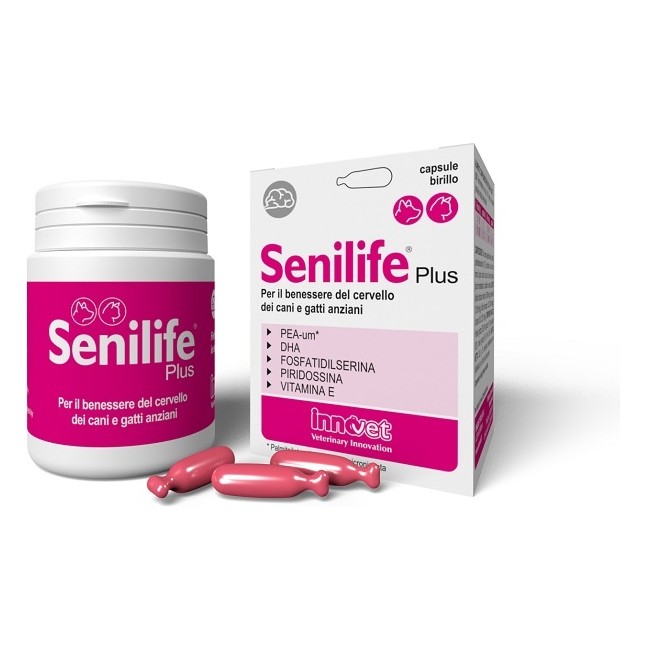 SENILIFE PLUS 30 CAPSULE