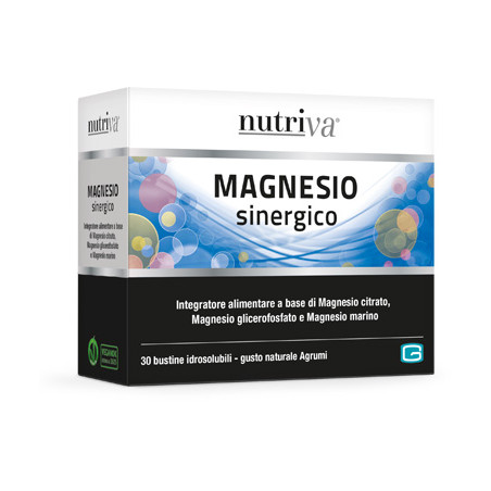 NUTRIVA MAGNESIO SINERGICO 66 G