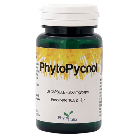 PHYTOPYCNOL 60 CAPSULE