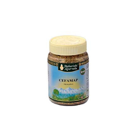 Map Italia CEFAMAP POLVERE 300 G