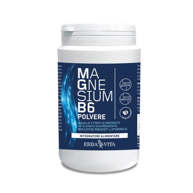 MAGNESIUM B6 POLVERE 200 G