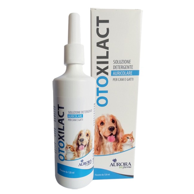 OTOXILACT DETERGENTE AURICOLARE