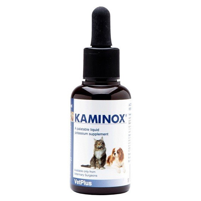 KAMINOX SCIROPPO 60 ML