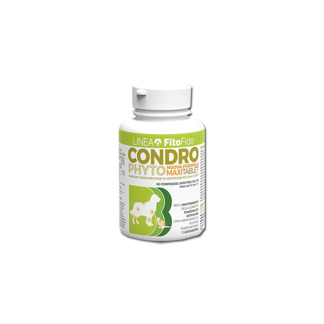 CONDROPHYTO 60 COMPRESSE 2 G