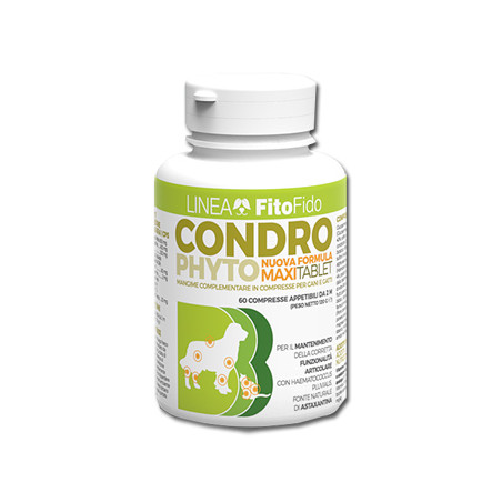 CONDROPHYTO 60 COMPRESSE 2 G