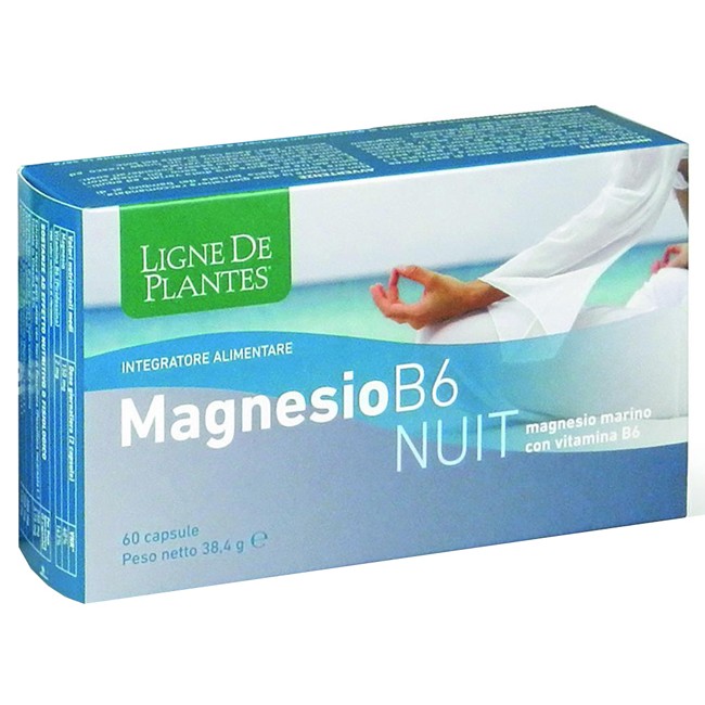 MAGNESIO B-6 NUIT 60 CAPSULE