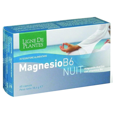 MAGNESIO B-6 NUIT 60 CAPSULE