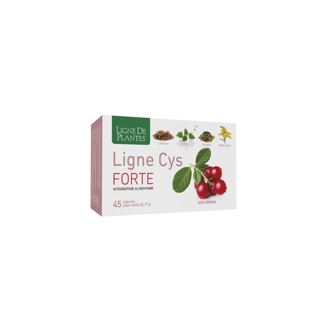 LIGNE CYS FORTE 45 CAPSULE