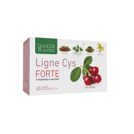 LIGNE CYS FORTE 45 CAPSULE