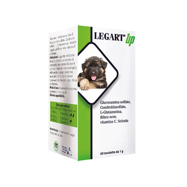 LEGART UP 60 COMPRESSE DA 1 G