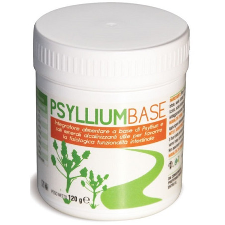 PSYLLIUM BASE POLVERE 120 G