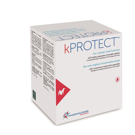 KPROTECT 120 COMPRESSE MASTICABILI