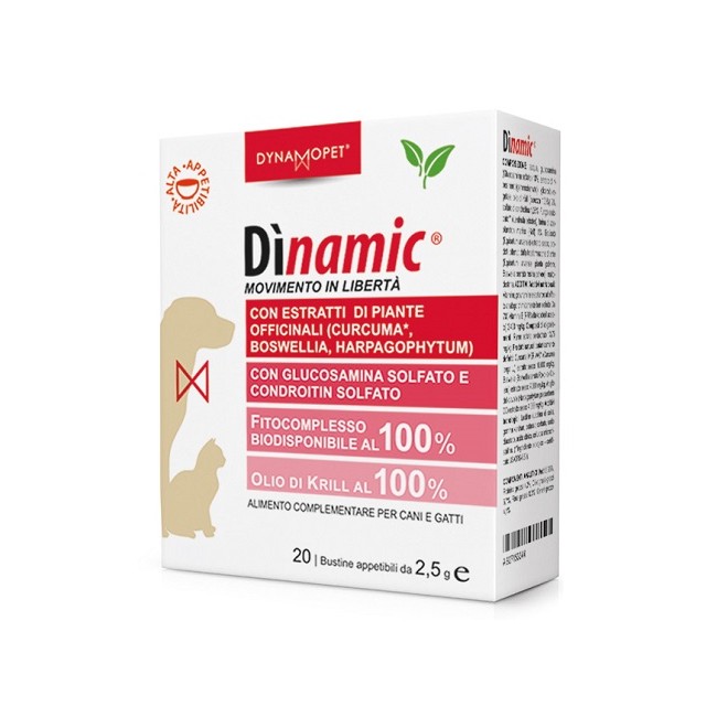 DINAMIC 20 BUSTINE 2,5 G