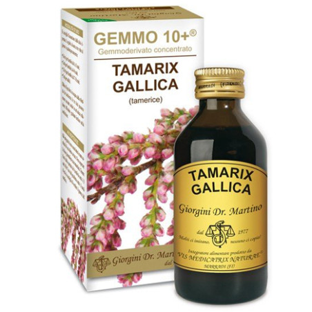 GEMMO 10+ TAMERICE 100 ML LIQUIDO ANALCOLICO