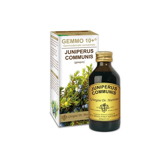 GEMMO 10+ GINEPRO 100 ML LIQUIDO ANALCOLICO