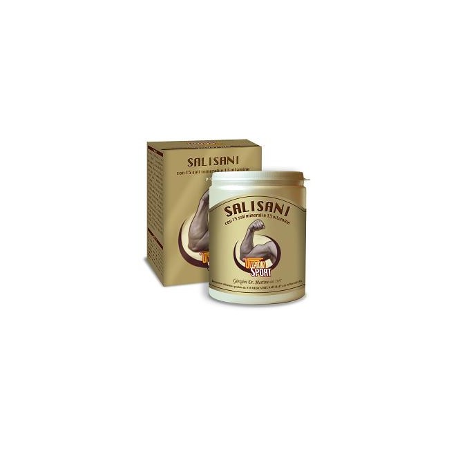 SALISANI VITAMINSPORT 360 G POLVERE