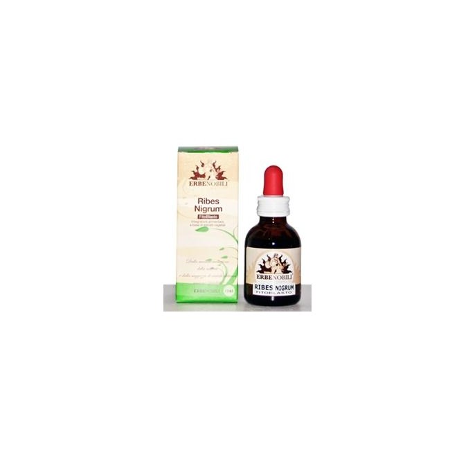 FITOBLASTO RIBES NIGRUM 50 ML